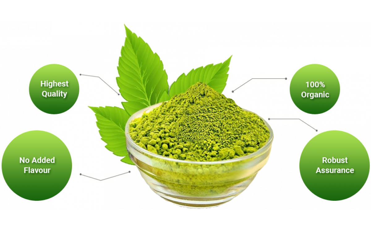 Search for Certified Aloe Vera Powder Manufacturer
