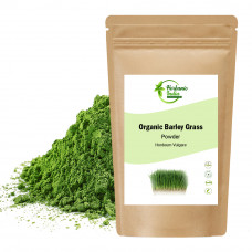 Organic barley grass powder-hordeum vulgare