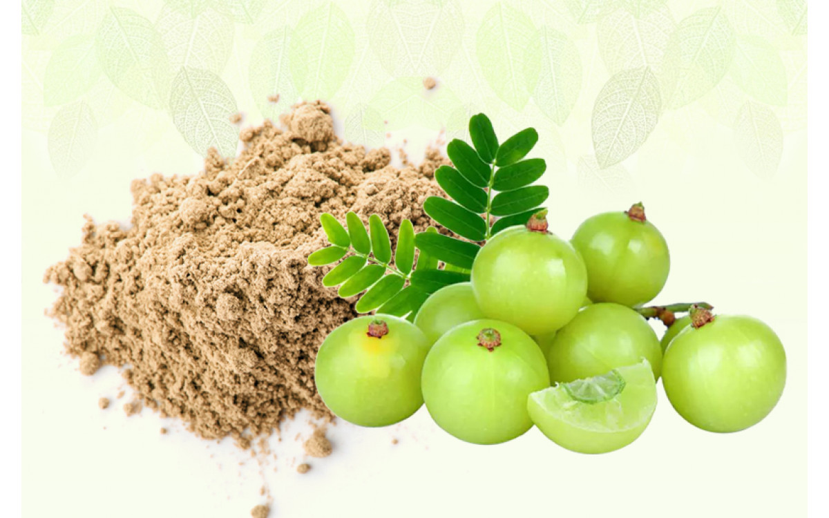 How Herbal Extract Suppliers Can Help You Find Good Health & Wellness?